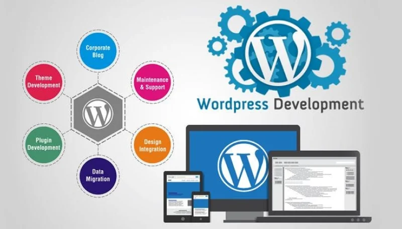 WordPress development illustration